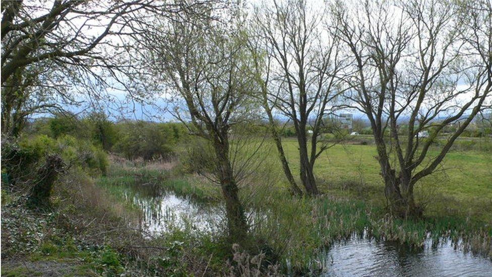 Wetland area at Rhuddlan Nature Reserve