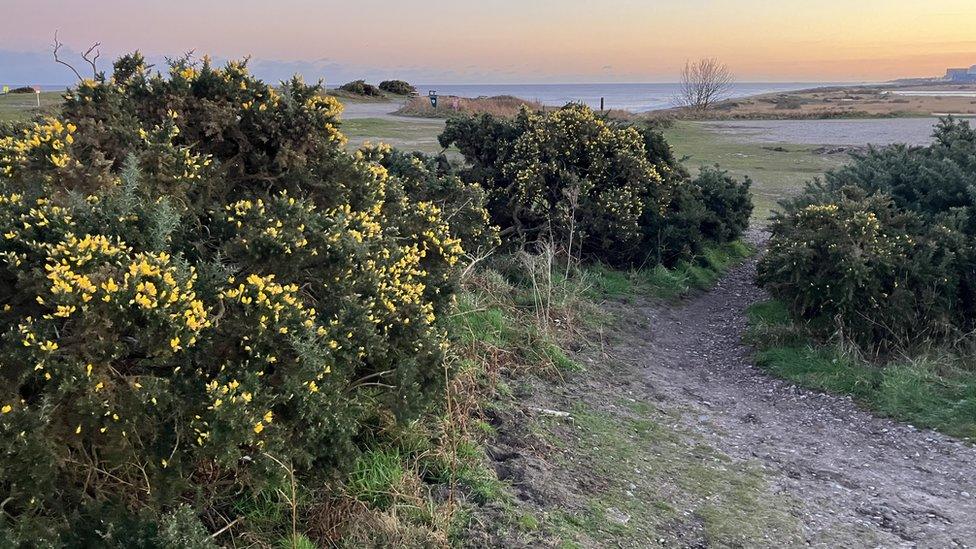 Dunwich Heath