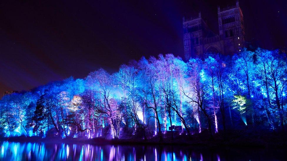 Trees are lit up with blue and purple light against the night sky.