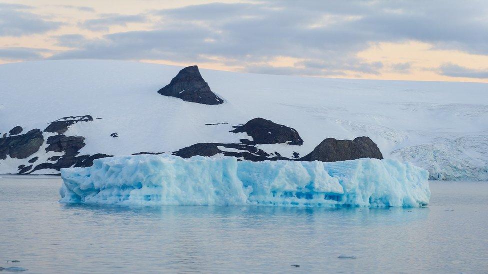 King George Island, Antarctica