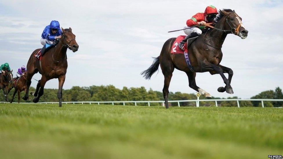 Racing at Sandown Park