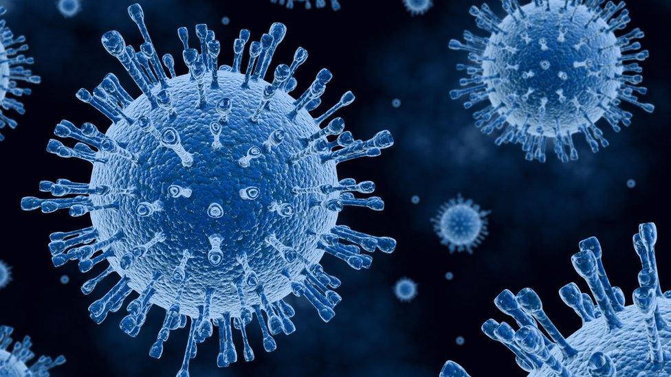 Influenza virus