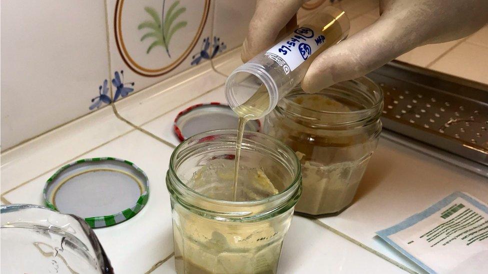 Adding the liquid yeast sample to flour made from ancient grains