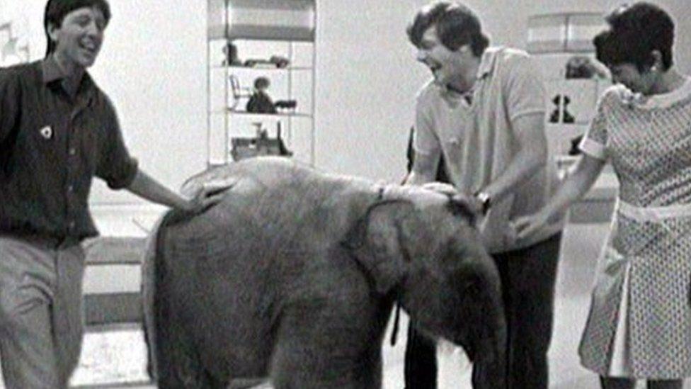 Lulu the elephant visiting the Blue Peter studio in 1969