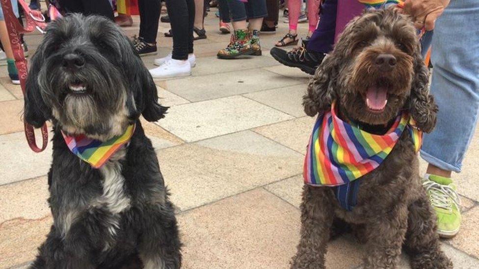 King's Lynn & West Norfolk Pride