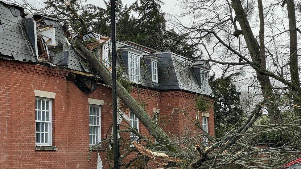 Tree fallen on Holme Lacy House Hotel