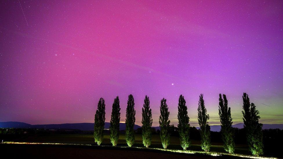 A car drives on the road and illuminates poplars under the Northern lights (aurora borealis) glow in the night sky above the village of Daillens, Switzerland, 11 May 2024