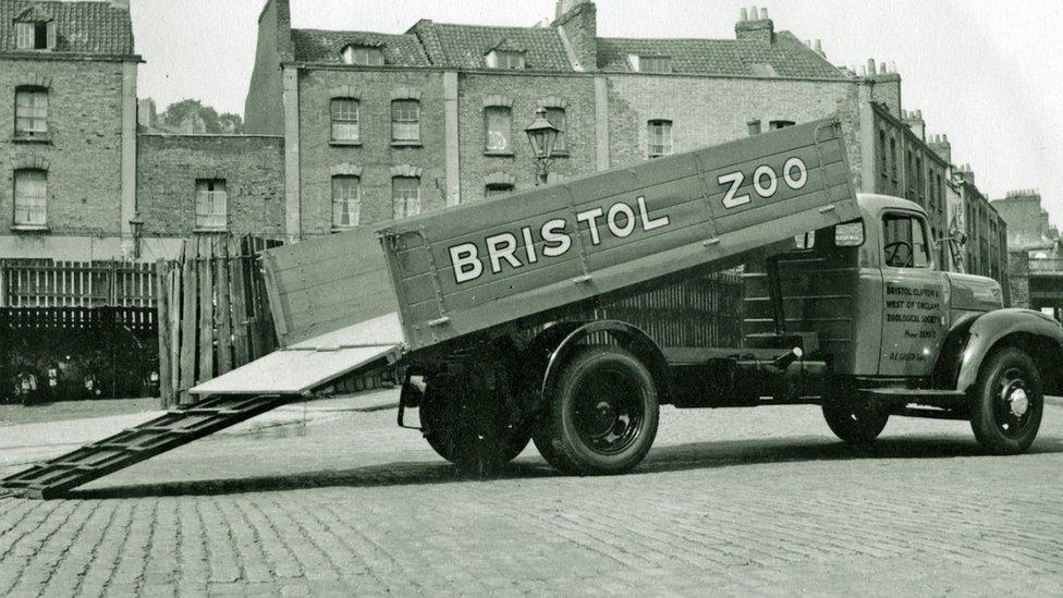 Bristol Zoo Lorry in the late 40s