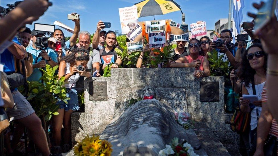 Cubans march against animal cruelty, in what is thought to be the first independent demonstration allowed in the country