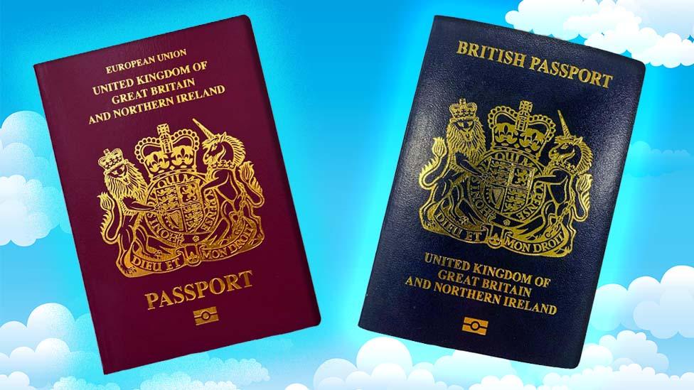 Blue-passport-and-red-passport-on-asky-background.