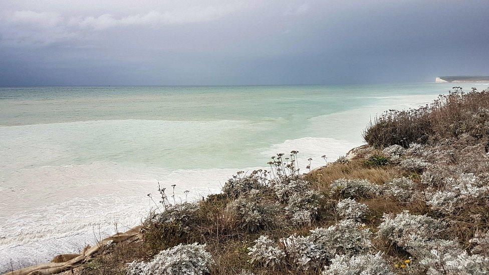 The beach at Birling Gap