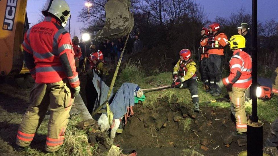 Ziona, a grey mare, being rescued