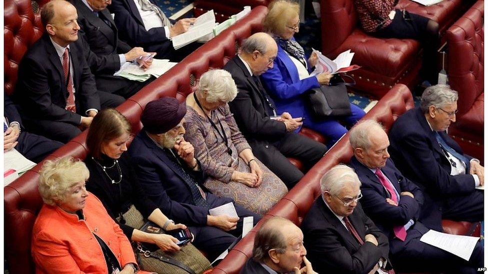 Peers in the House of Lords