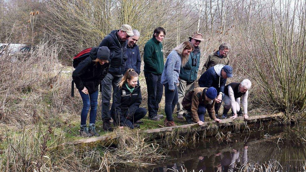 Froglife volunteers