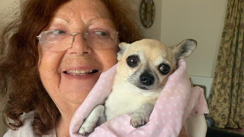 Shirley Harvey holding her chihuahua Lady