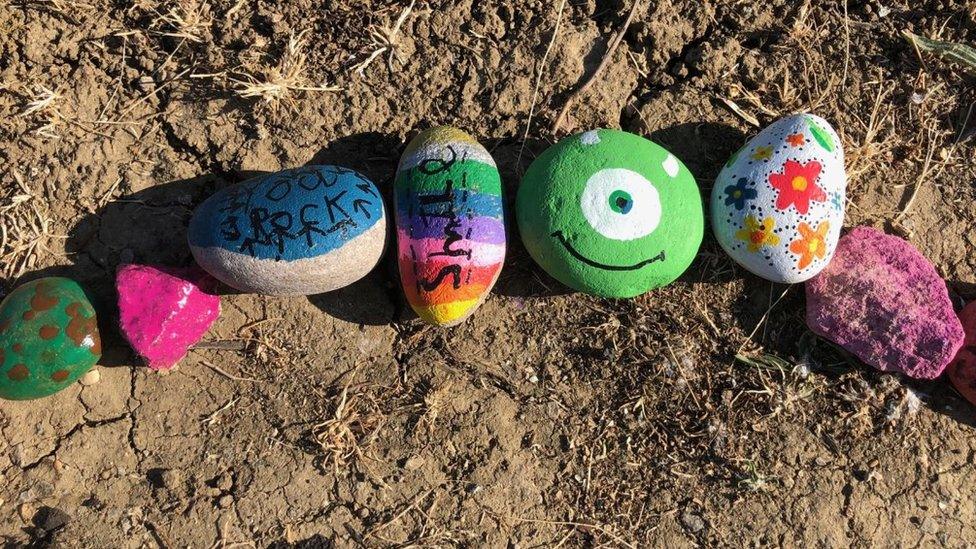 Painted rocks