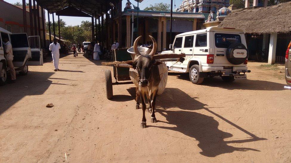 Bullock cart