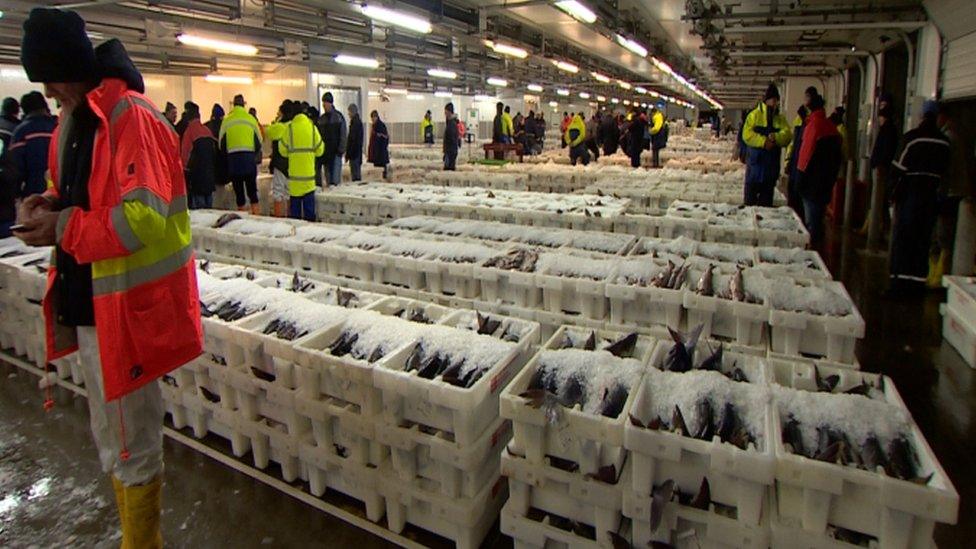 Peterhead fish market