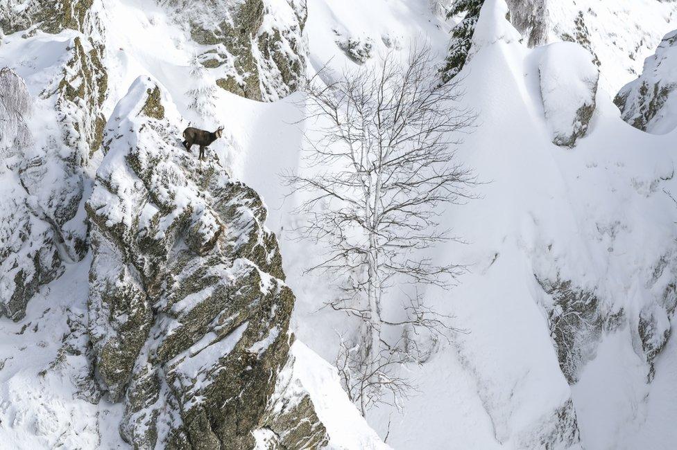 The side of a snow-covered mountain