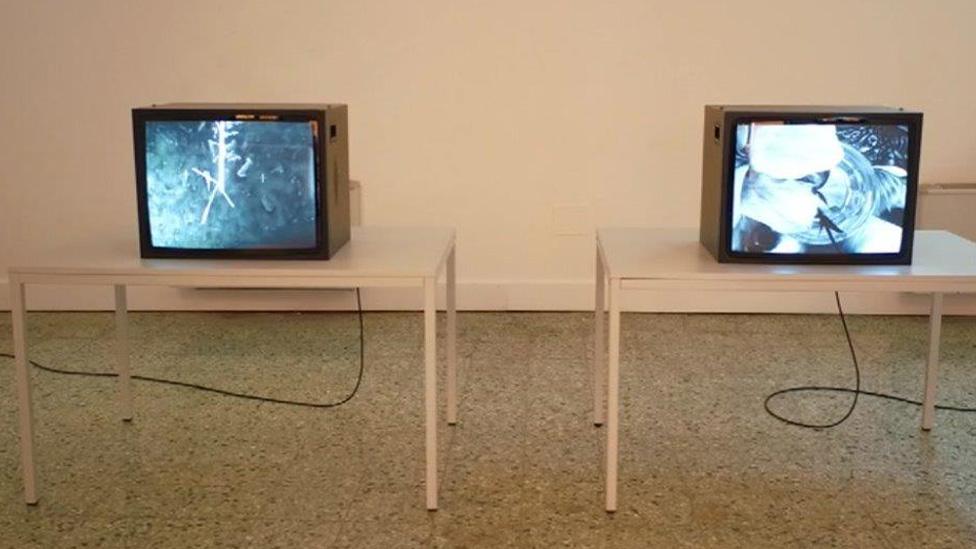 James Richards's Venice Biennale exhibit