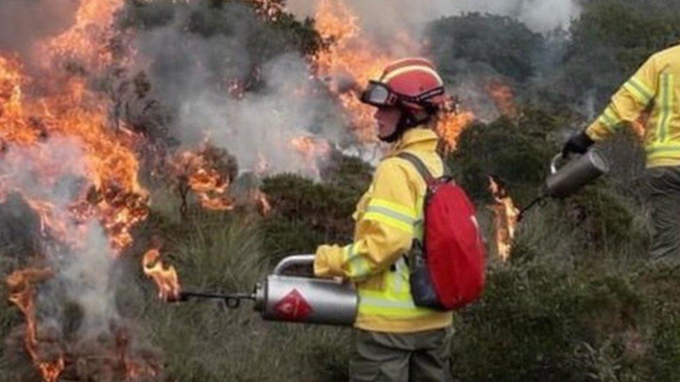 Firefighters tackling a fire