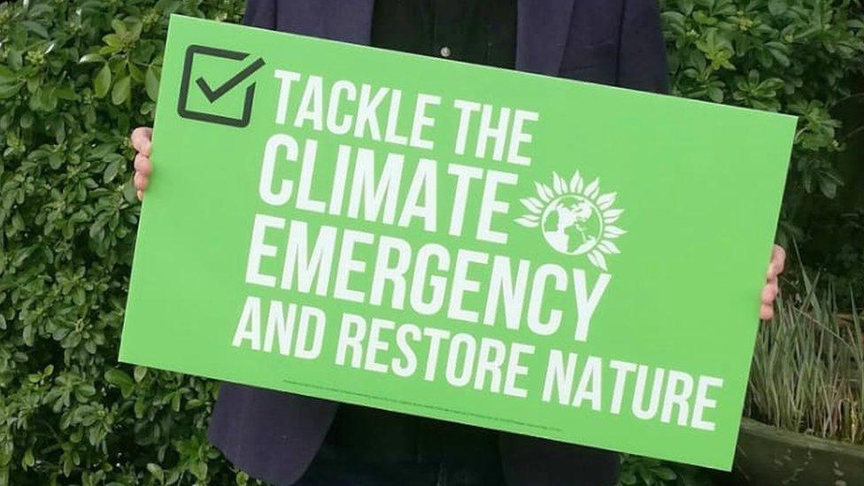 Green Party placard