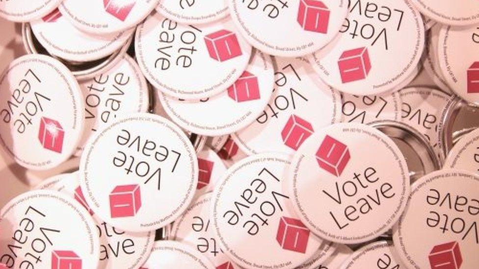 Vote Leave badges