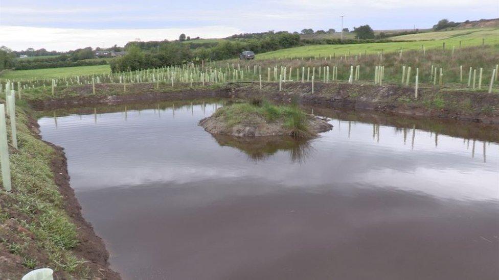 Image of pond near Claudy