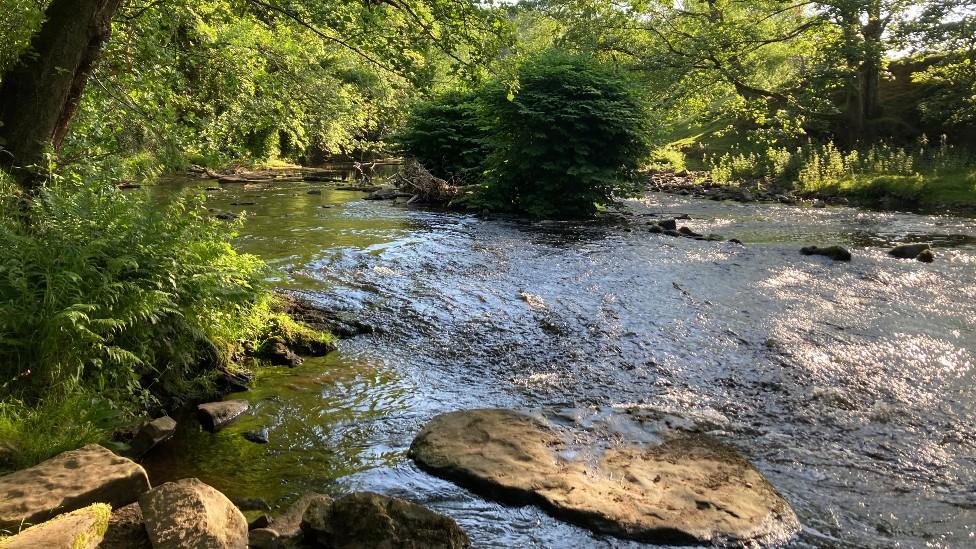 River Etherow