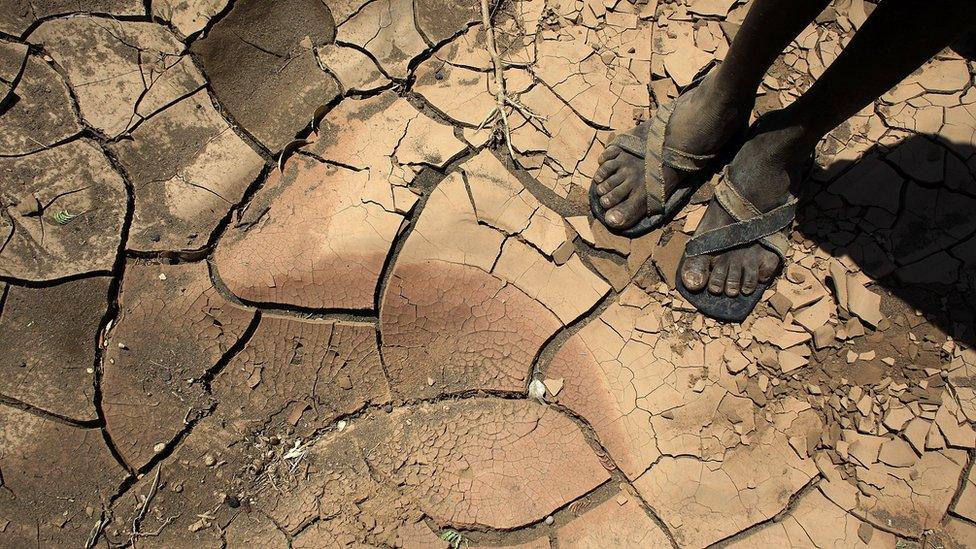 Someone standing in a dried up river in northern Kenya