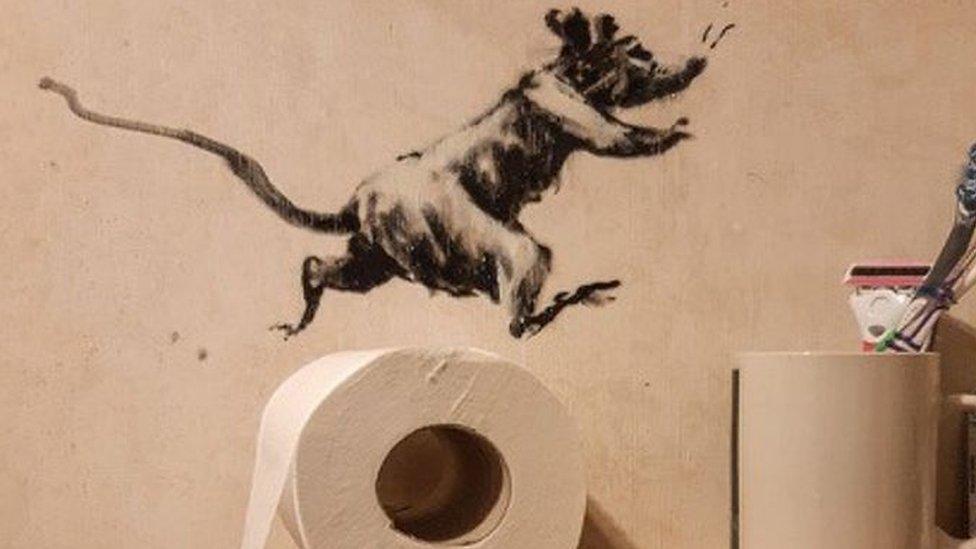 Rat running above a roll of toilet paper