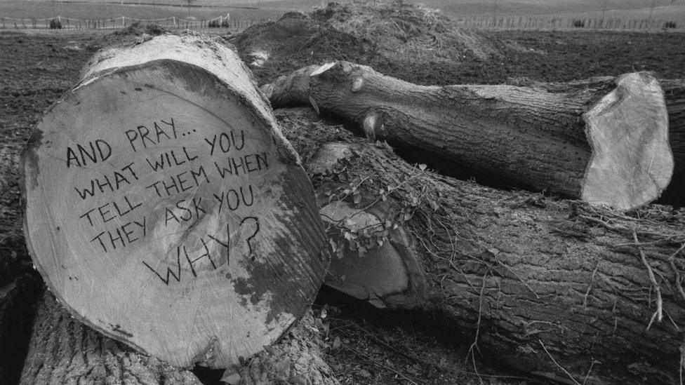 Newbury Bypass protests 1996