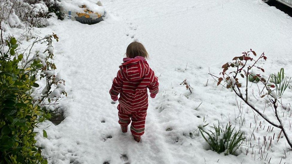 Mabel in the snow