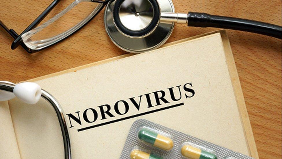 Norovirus