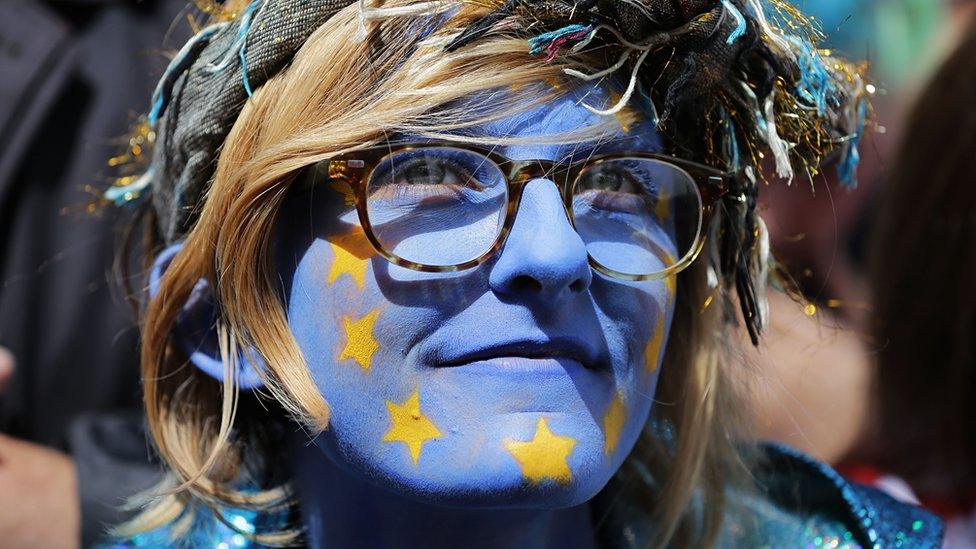 Pro-EU campaigner