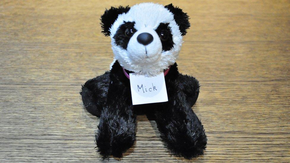 'Panda Mick', the winning entry in the Turnip Prize 2021