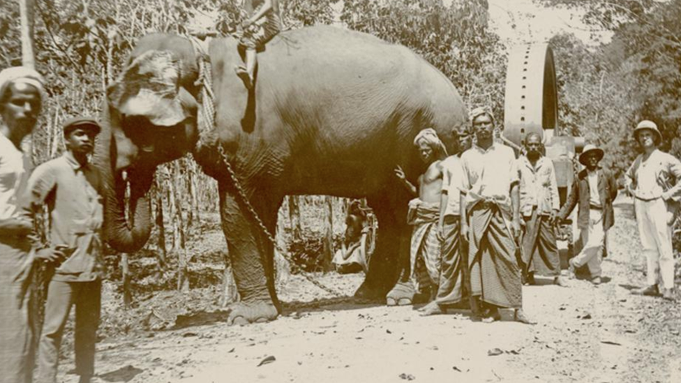 Elephant and men involved in road building