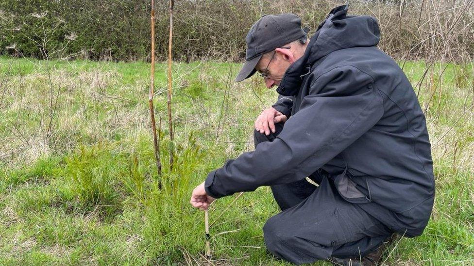 Glen Fairweather, from Colchester Zoo, kneels at the moth habitat in Clacton