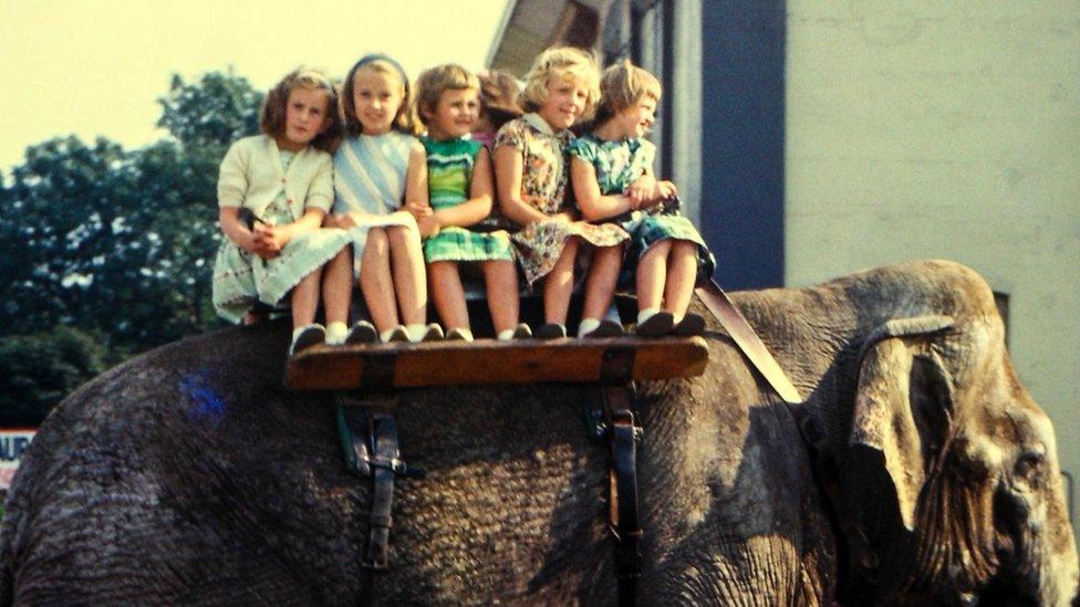 Group of girls on elephant at Belle Vue