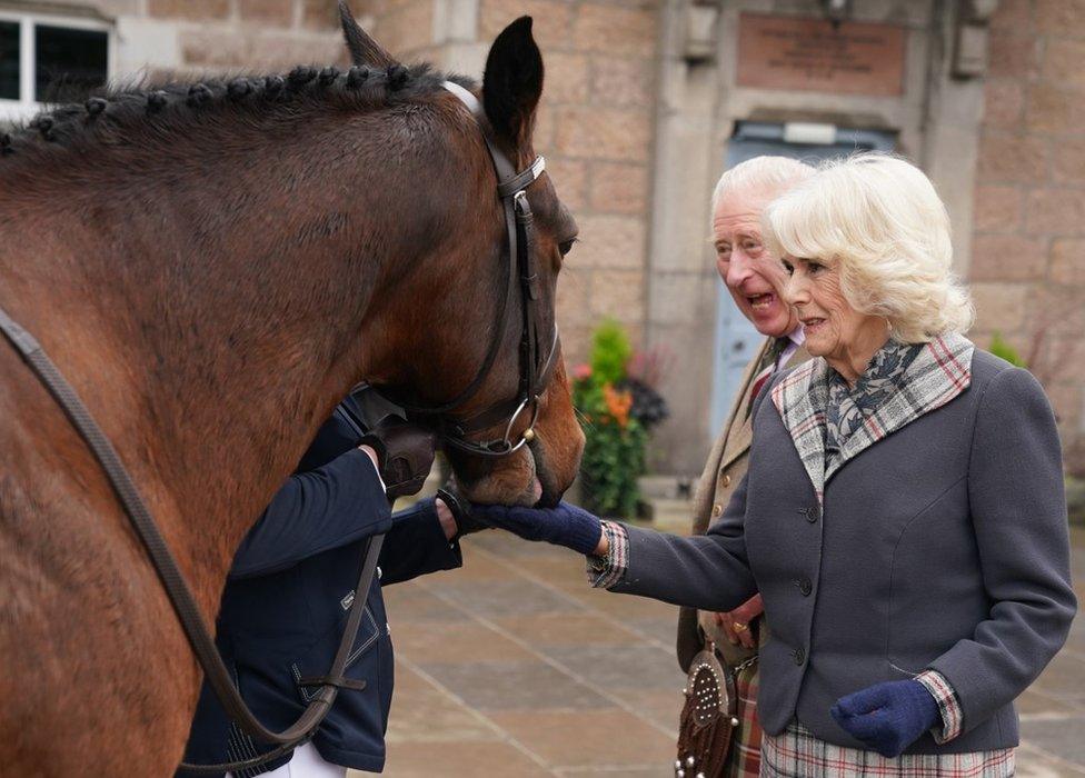 The King and Queen Consort and a horse