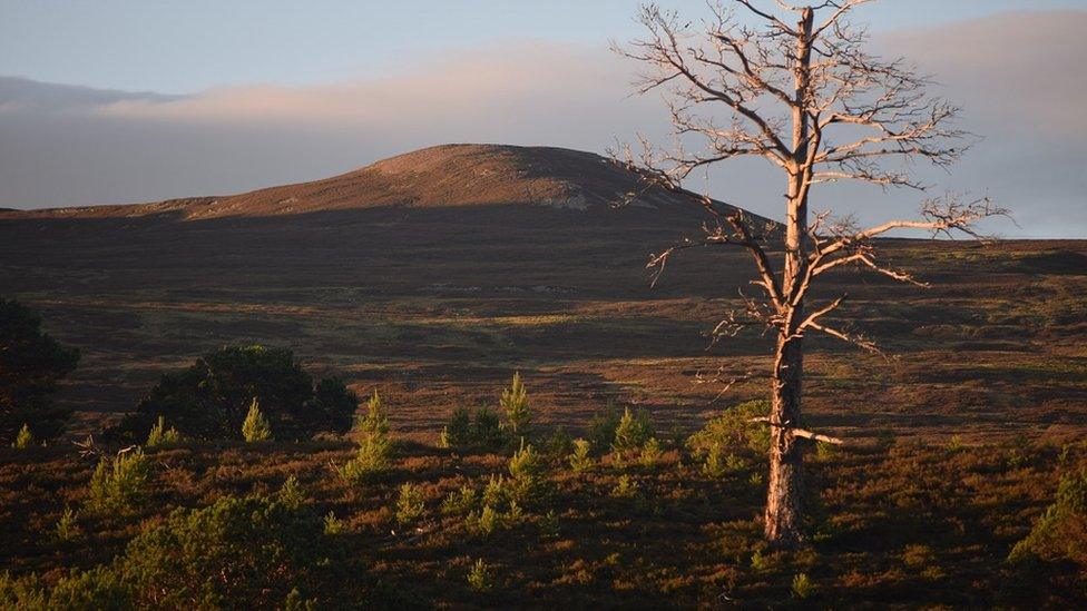 Habitat