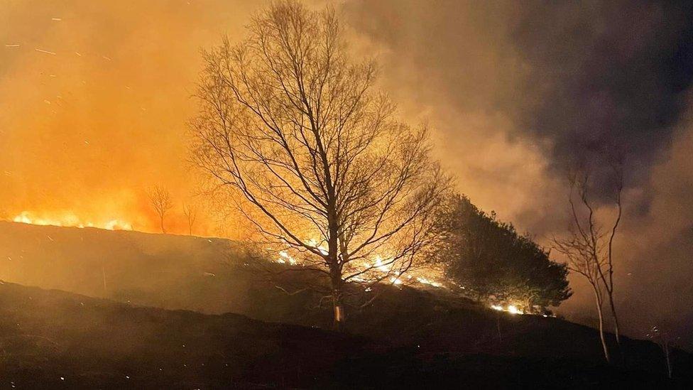 Wildfire on Cartmel Fell