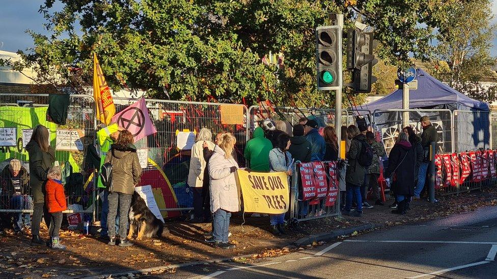 Protesters at a tree in Ashingdon Road, Rochford