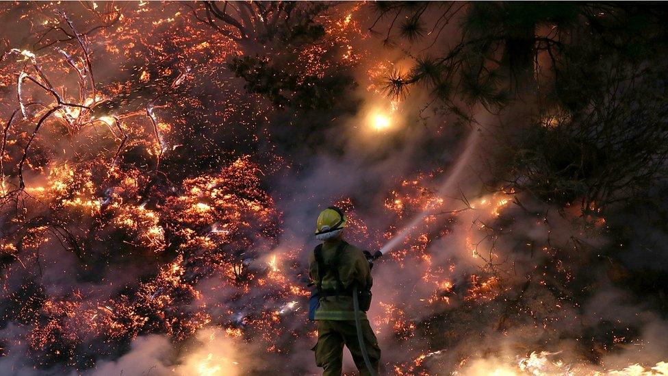 A firefighter uses a hose to douse the flames of the Rim Fire on August 24, 2013 near Groveland, California