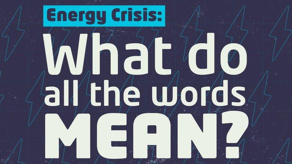 Energy crisis: What do all the words mean?