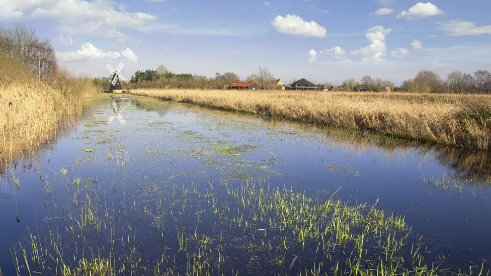 The Fenland landscape