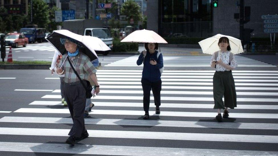 Parasols in Tokyo