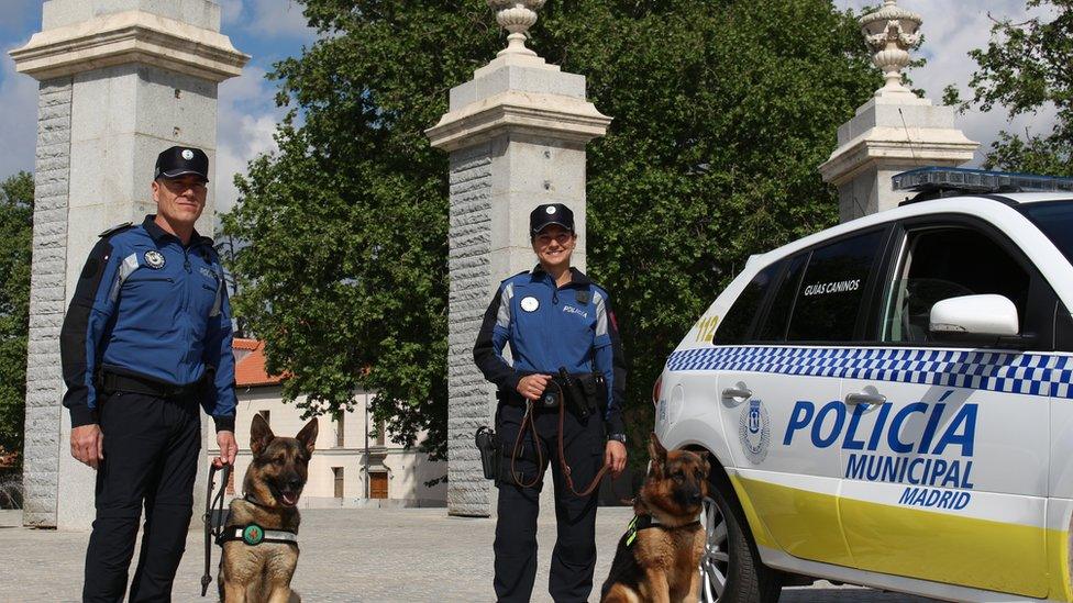 This handout photo from Madrid's police force shows two dogs and their uniformed officers next to a police car.