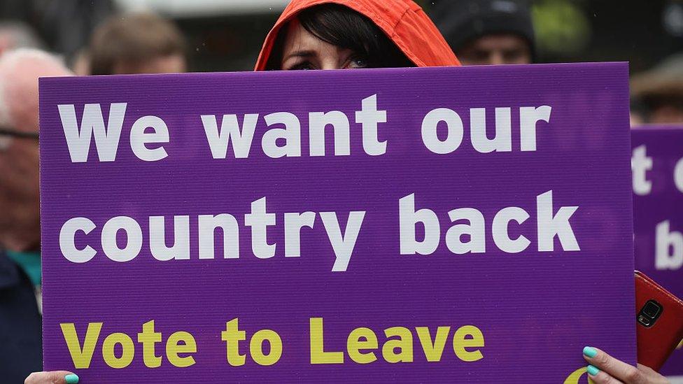 A pro-Brexit campaigner holds a sign saying "We want our country back"