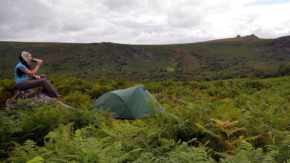 Phoebe in Dartmoor